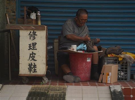 獅子的特徵|每日十問：獅子的特徵是什麼？為什麼被稱為「百獸之王」？